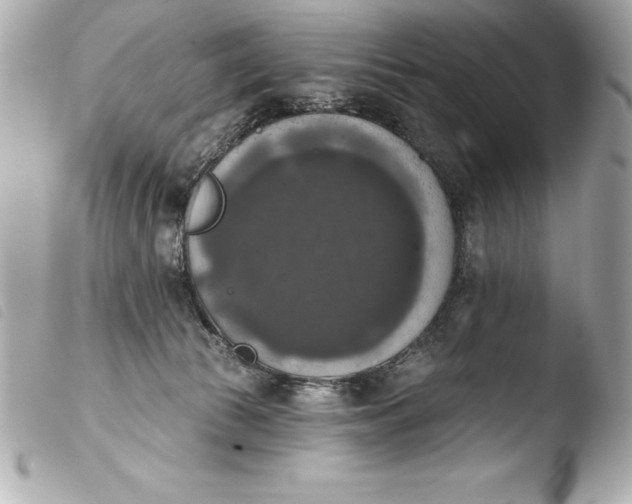 X0000103950177200810031354