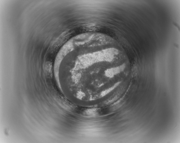 X0000103950178200810031354