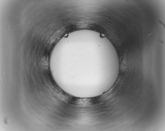 X0000103950179200810031354