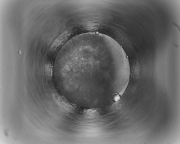 X0000103950180200810031354