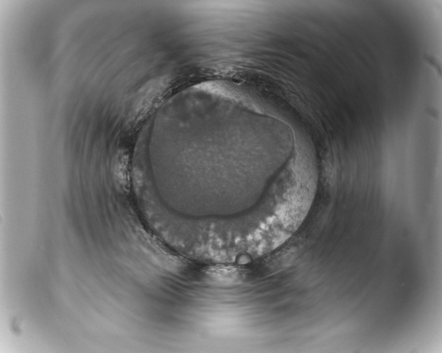 X0000103950181200810031354