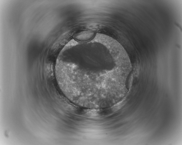 X0000103950182200810031354