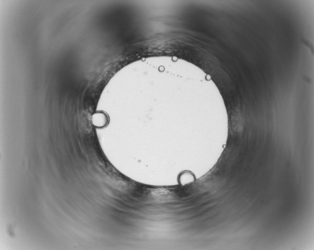 X0000103950183200810031354