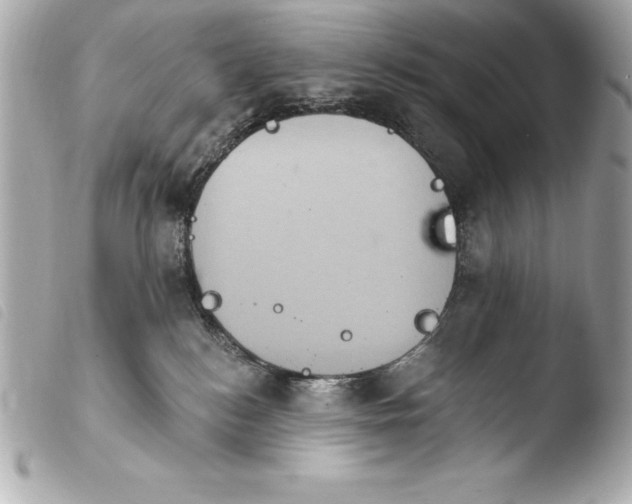 X0000103950184200810031354