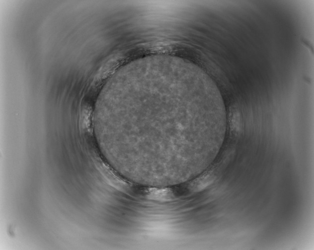 X0000103950185200810031354