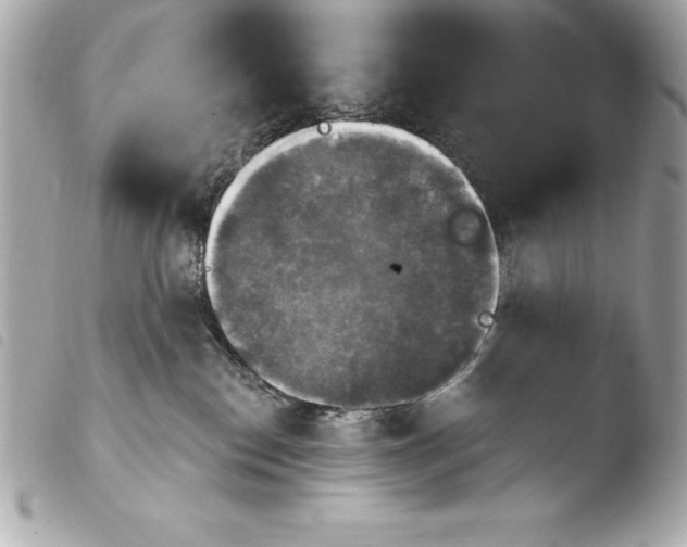 X0000103950186200810031354