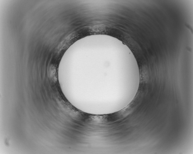 X0000103950187200810031354