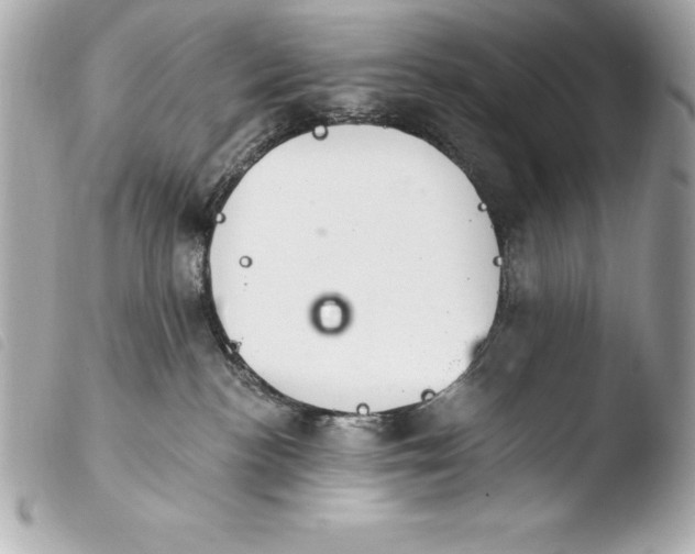 X0000103950188200810031355