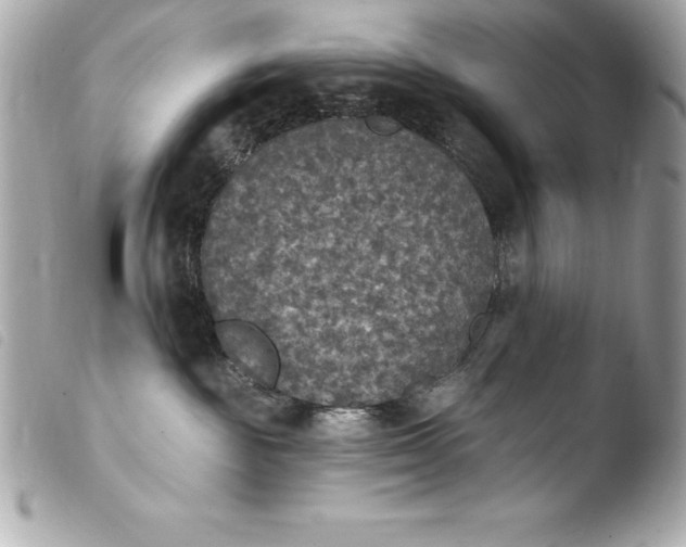 X0000103950189200810031355