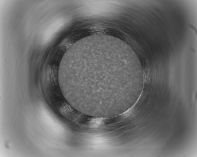 X0000103950190200810031355