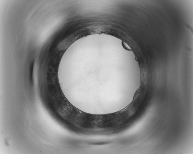 X0000103950191200810031355