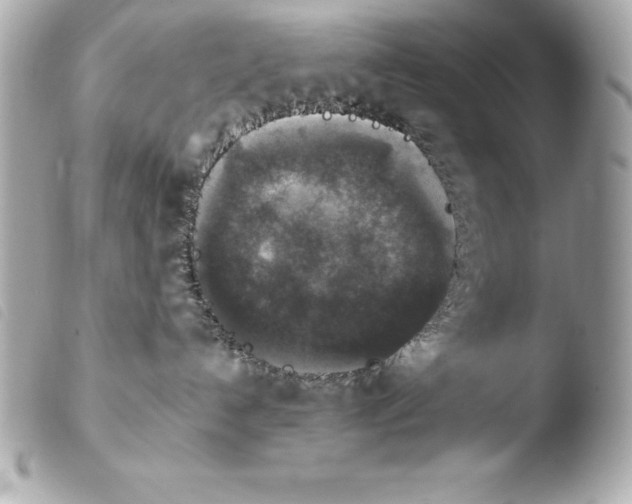 X0000103950192200810031355