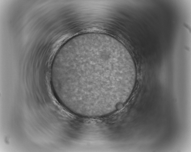 X0000103950193200810031354