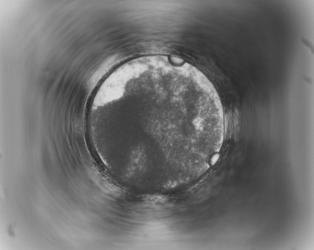 X0000103950195200810031354