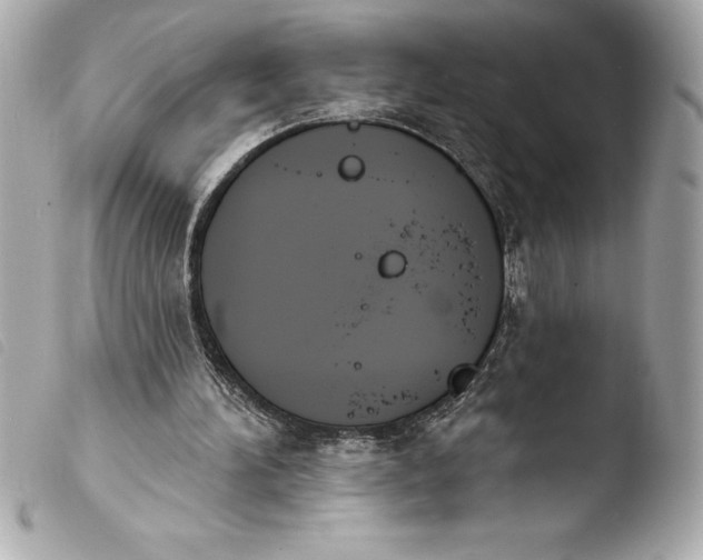 X0000103950196200810031354