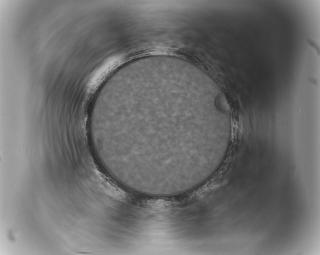 X0000103950197200810031354