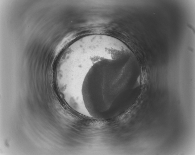 X0000103950198200810031354