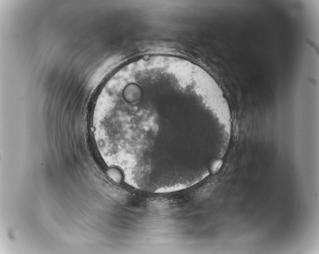 X0000103950199200810031354