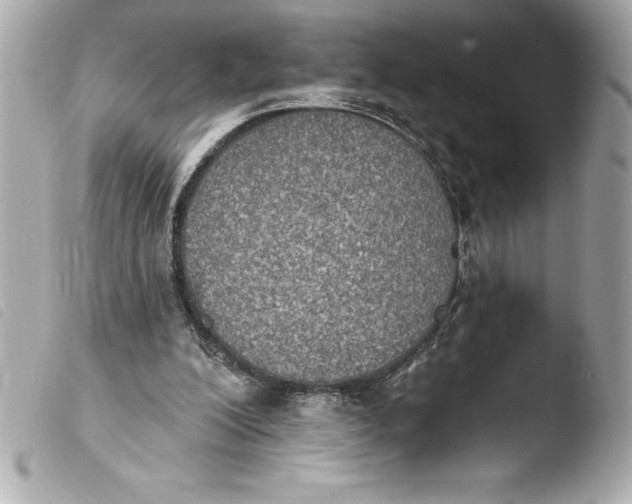 X0000103950200200810031354