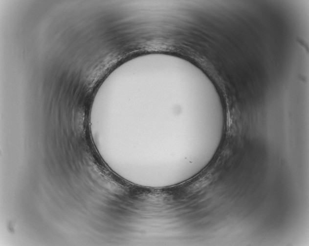 X0000103950201200810031354