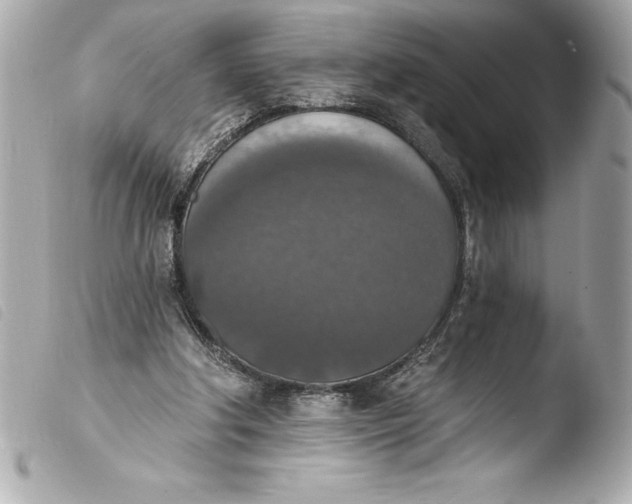 X0000103950202200810031354