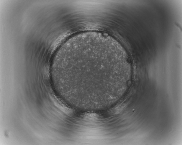 X0000103950203200810031354