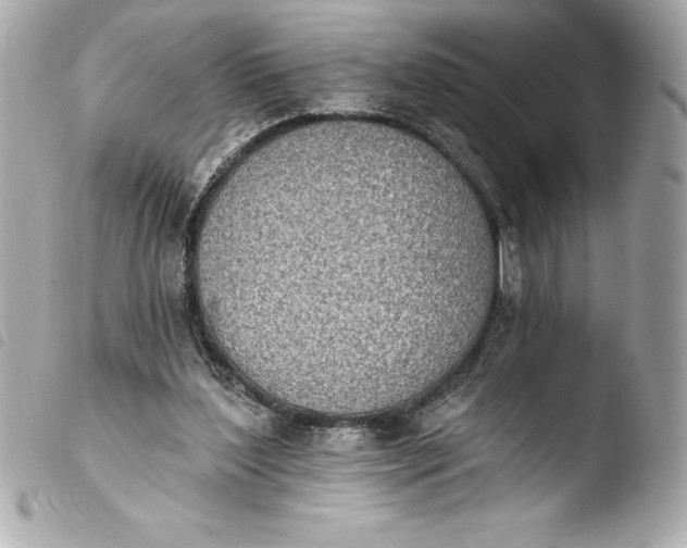 X0000103950204200810031354