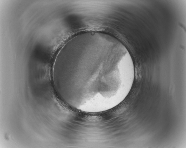 X0000103950205200810031354