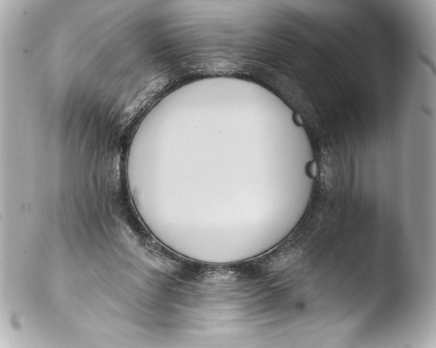 X0000103950206200810031354