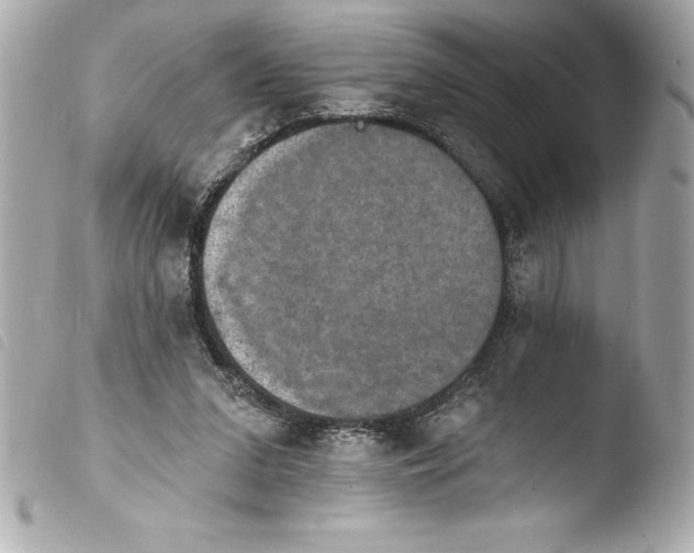 X0000103950207200810031354