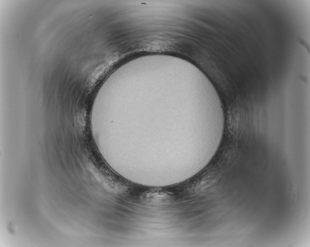 X0000103950208200810031354