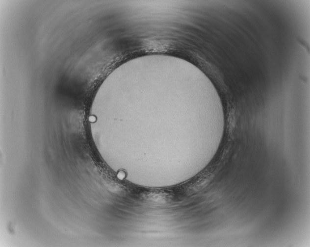 X0000103950209200810031354