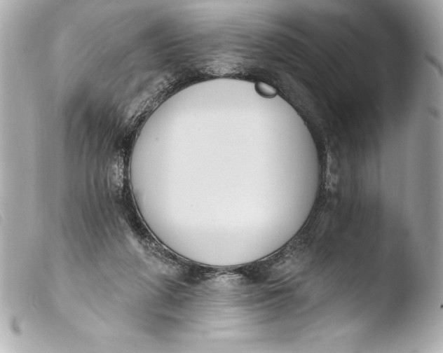 X0000103950210200810031353