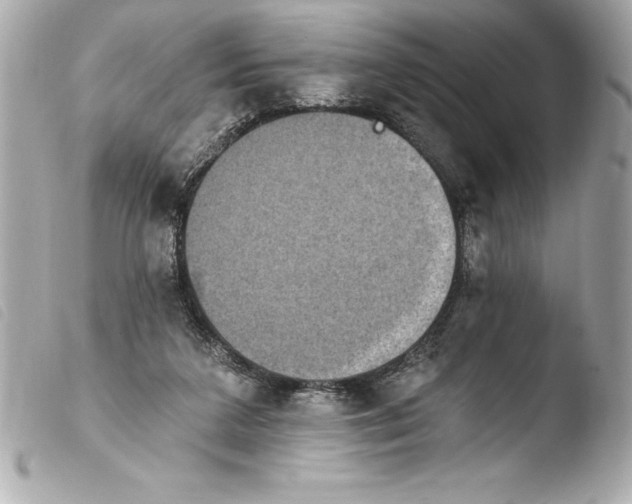 X0000103950211200810031353