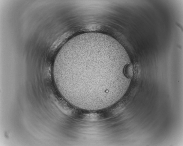 X0000103950212200810031353