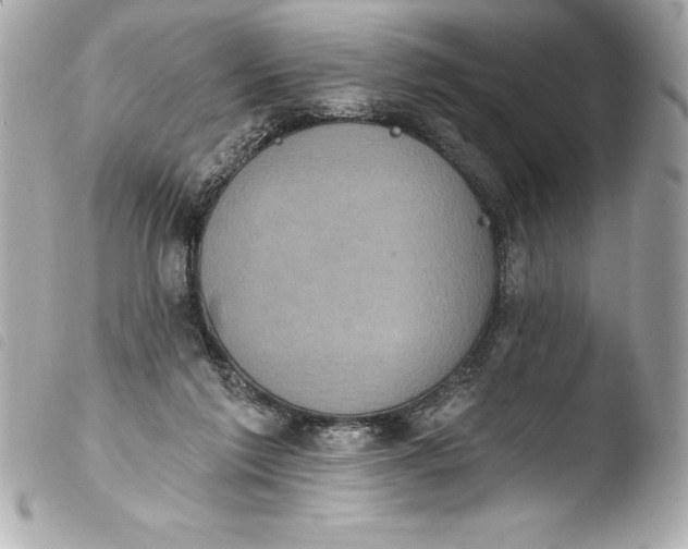 X0000103950213200810031353