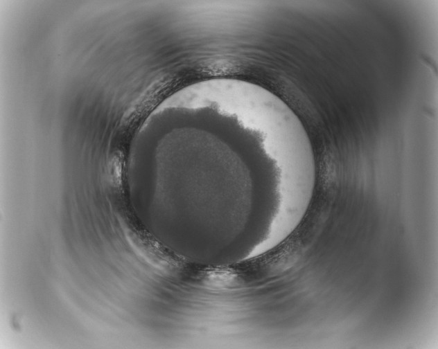 X0000103950214200810031353