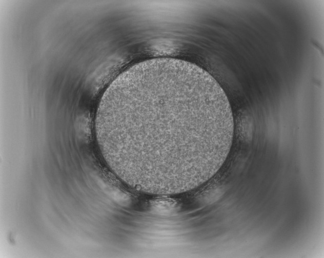 X0000103950215200810031353