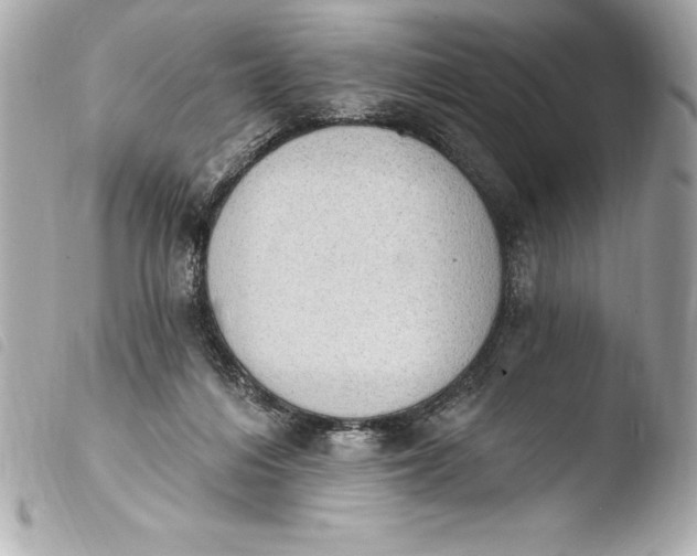 X0000103950216200810031353