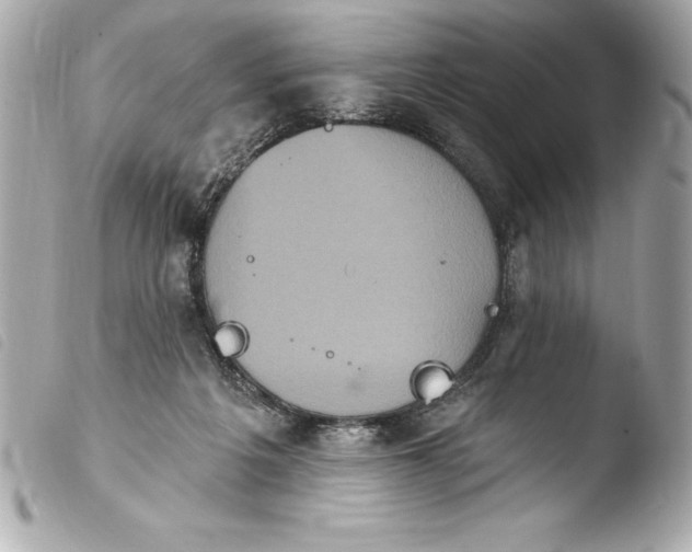 X0000103950217200810031353