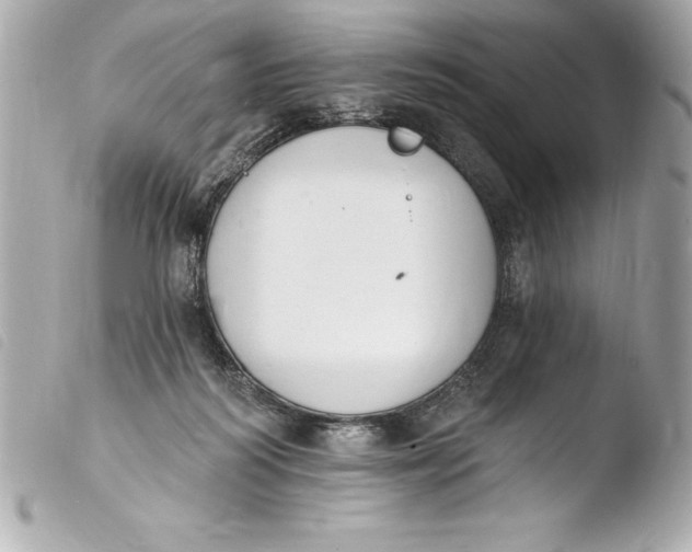 X0000103950218200810031353