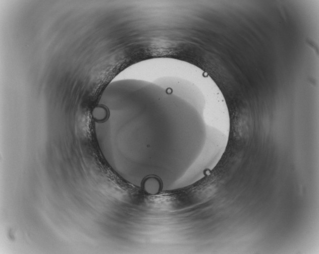 X0000103950219200810031353