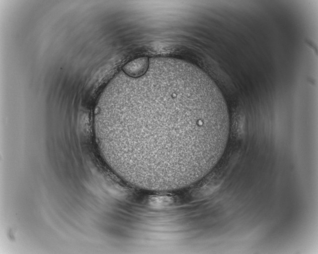 X0000103950220200810031353