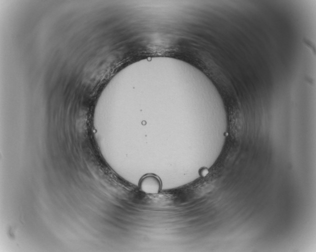 X0000103950221200810031353