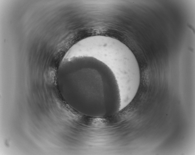 X0000103950222200810031353