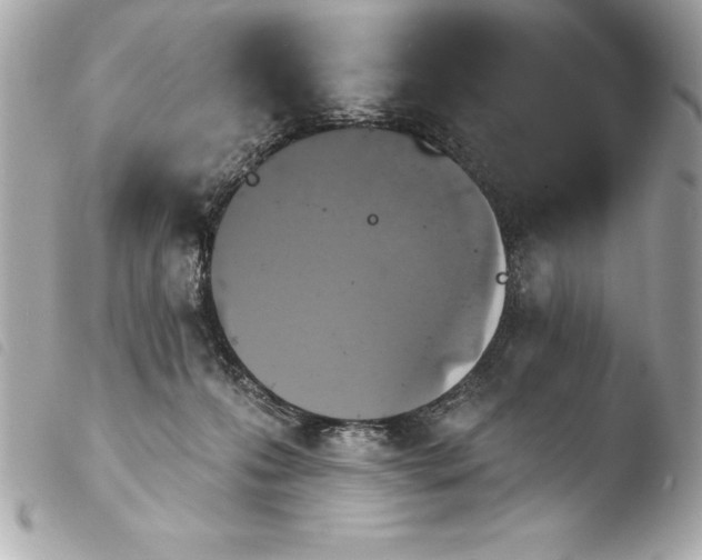 X0000103950223200810031353