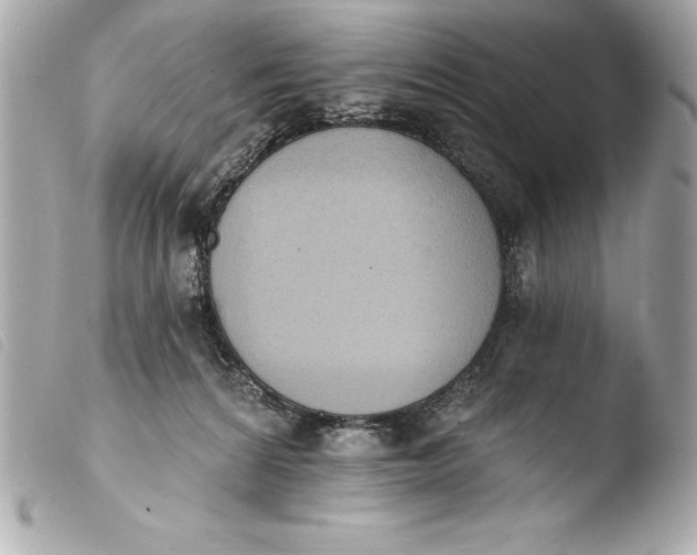 X0000103950224200810031353