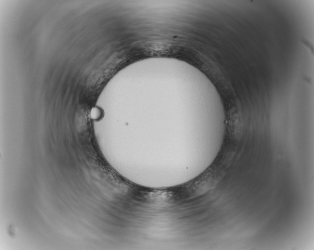 X0000103950225200810031353