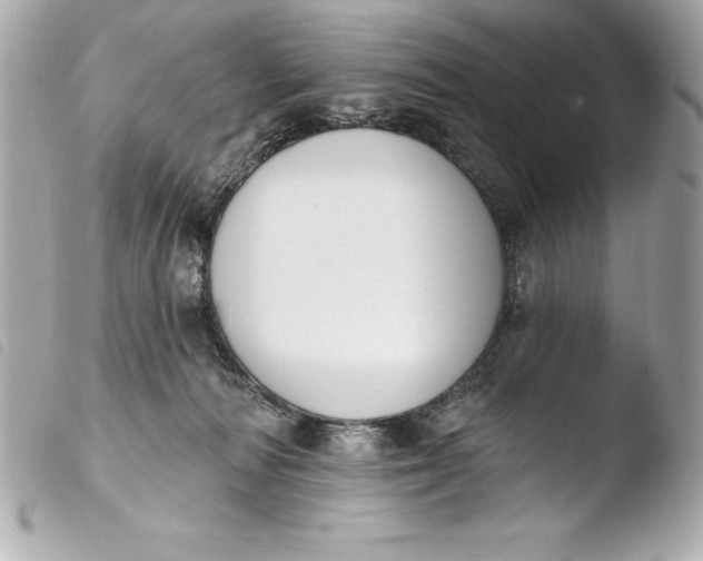 X0000103950226200810031353