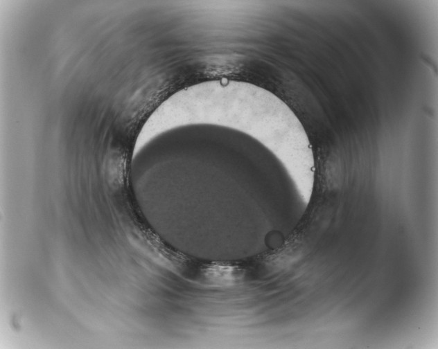 X0000103950227200810031353